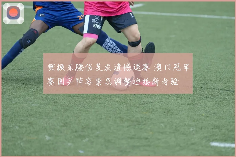 樊振东腰伤复发遗憾退赛 澳门冠军赛国乒阵容紧急调整迎接新考验