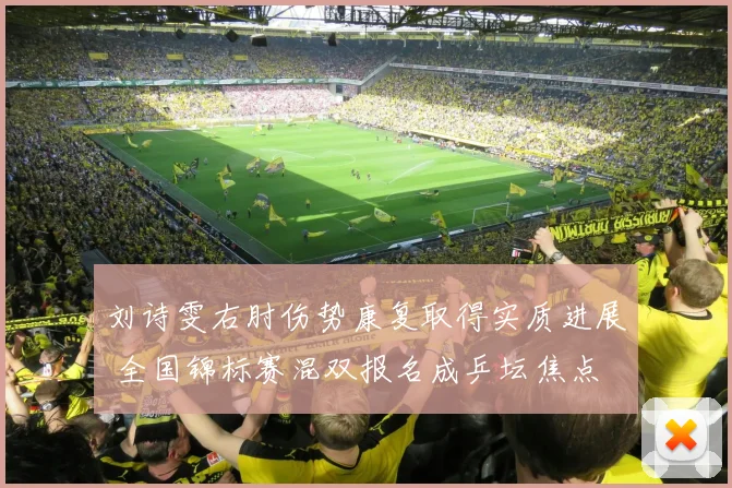 刘诗雯右肘伤势康复取得实质进展 全国锦标赛混双报名成乒坛焦点